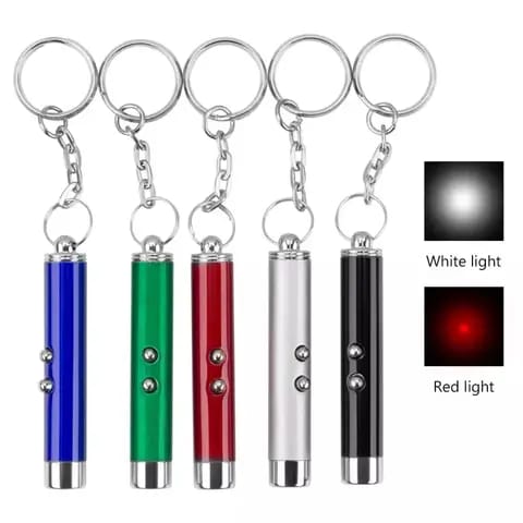 CATS/ DOGS TOY TRAINING LASER PEN FLASHLIGHT KEYCHAIN 3 IN 1