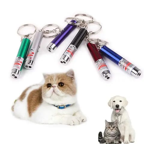 CATS/ DOGS TOY TRAINING LASER PEN FLASHLIGHT KEYCHAIN 3 IN 1