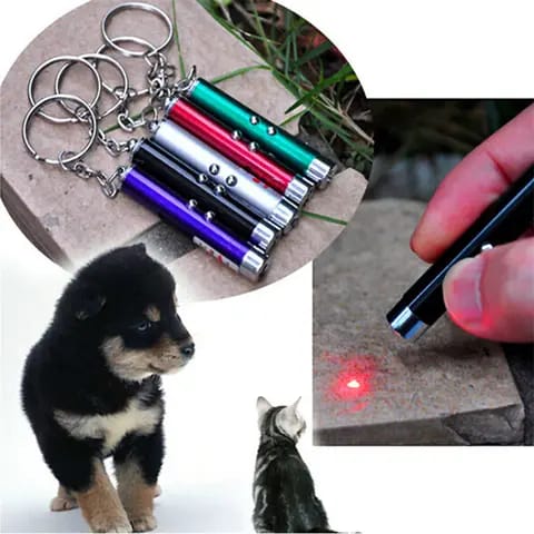 LASER POINTER PEN FLASHLIGHT KEYCHAIN SOS CATS AND DOGS TOY TRAINING 3 IN 1