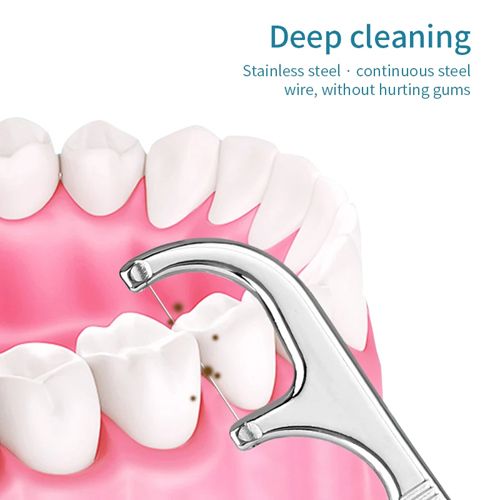 Stainless Steel Toothpick Set Tooth Flossing Reusable Toothpicks Portable Toothpick Floss Teeth Cleaner Oral Cleaning