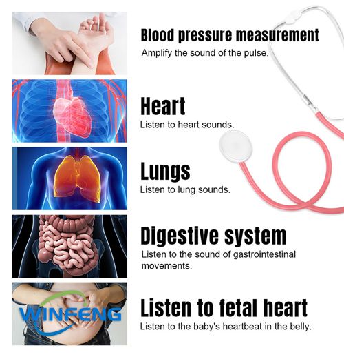 Portable Dual Head Stethoscope Professional Cardiology Medical Stethoscope Doctor Medical Equipment Device Student Vet Nurse