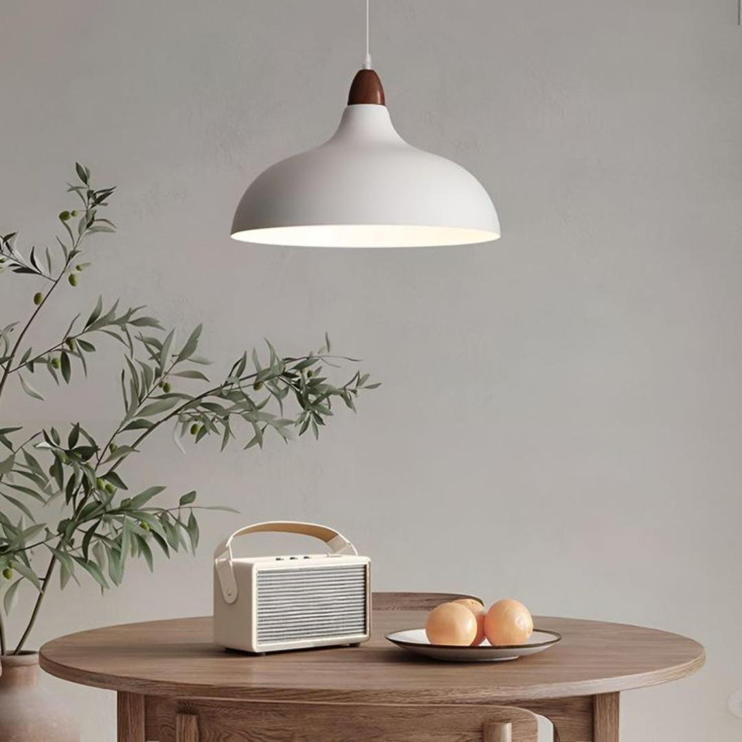 Industrial -style Metal Chandelier, Creative Bowl -shaped Iron Art PENDANT LAMP Lampshade