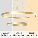 2 Circular Rings LED Chandeliers Fixture | Adjustable Ceiling Hanging Lamp