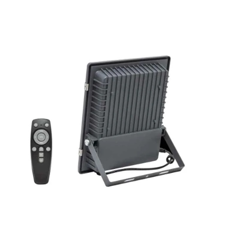 RR 100W 6500K IP66 Cool Daylight Solar LED Flood Light with Remote