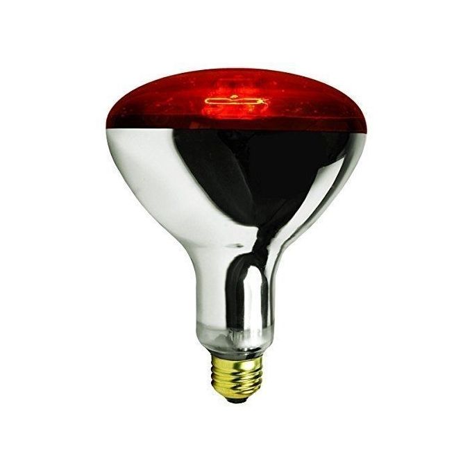 Poultry,chicken Bulb 250 Watts