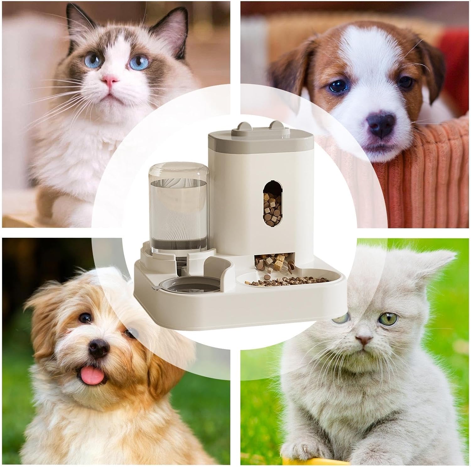 Pet Feeder