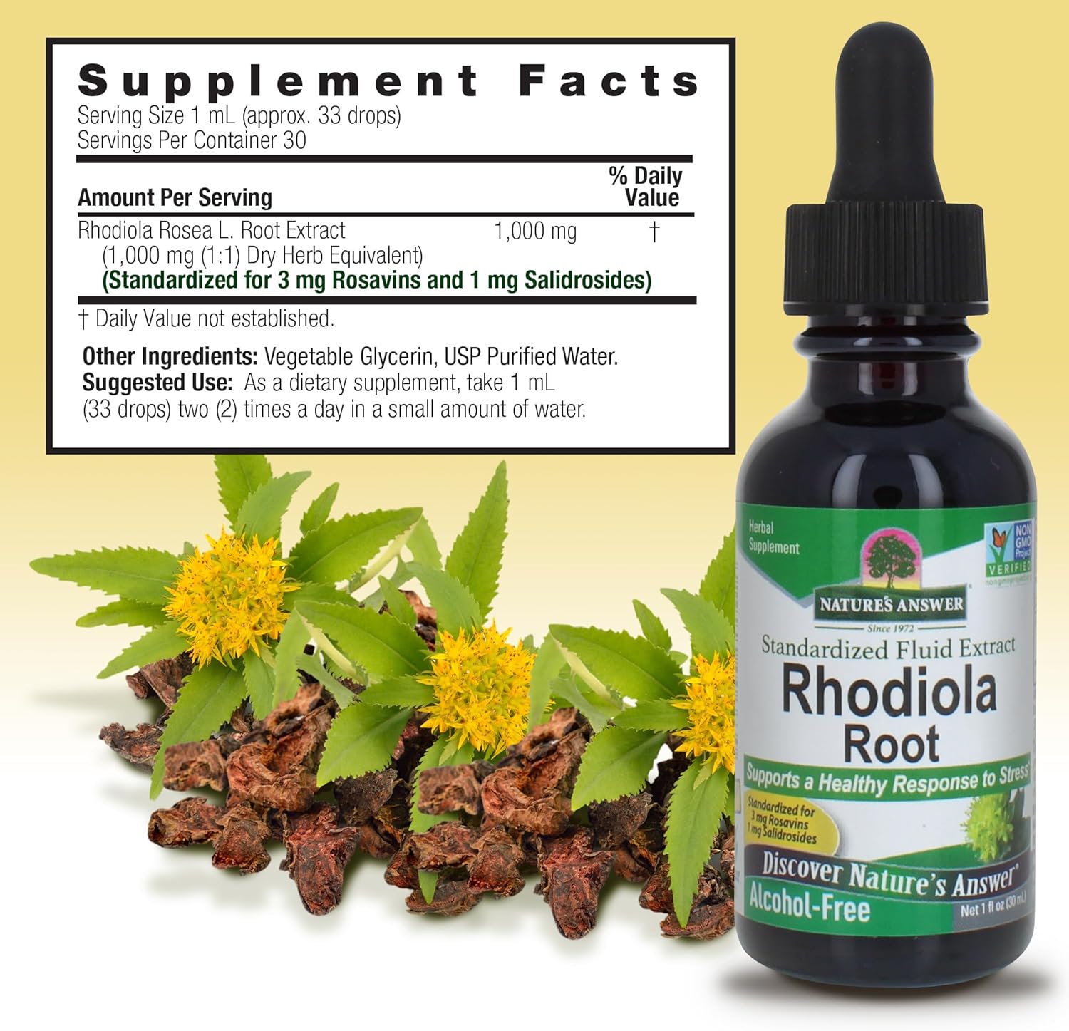 Nature's Answer Rhodiola Root | Super Concentrated Herbal Supplement | Helps Aid & Reduce Stress | Alcohol-Free, Gluten-Free and Kosher Certified 30ML
