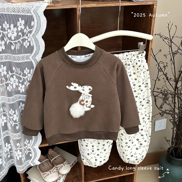 2025 New Girls' Autumn Hoodie Set - Cute Embroidered 3D Bunny Design, Casual & Comfortable Long Sleeve Sweatshirt for Baby & Toddler Girls