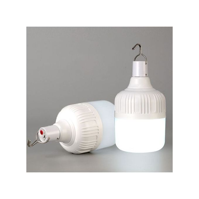 2pcs DP Light -3720 20W LED Rechargeable Bulb, a powerful and energy-saving solution designed for both indoor and outdoor use