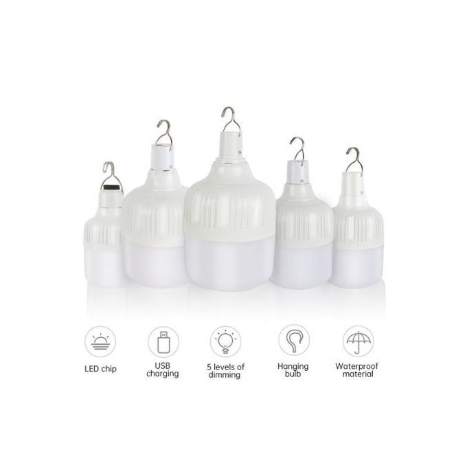 2pcs DP Light -3720 20W LED Rechargeable Bulb, a powerful and energy-saving solution designed for both indoor and outdoor use