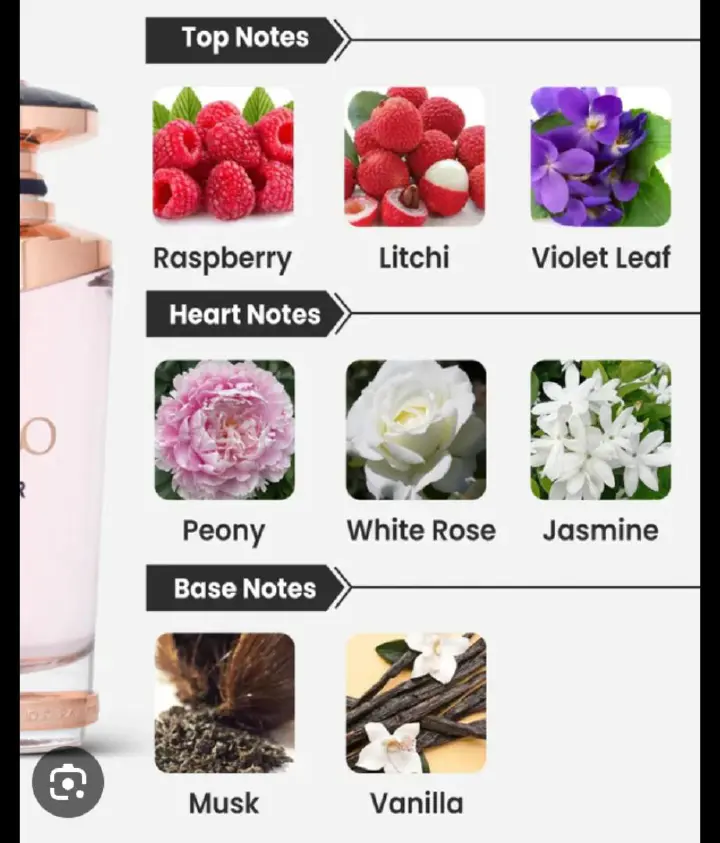 Daynee Collagen Peptides Powder Secret Formula For Youthful Skin, Healthy Hair, and Stronger Nails Whitening Glow Enzymes Protein Powder 100% Pure Formula Dietary Supplement