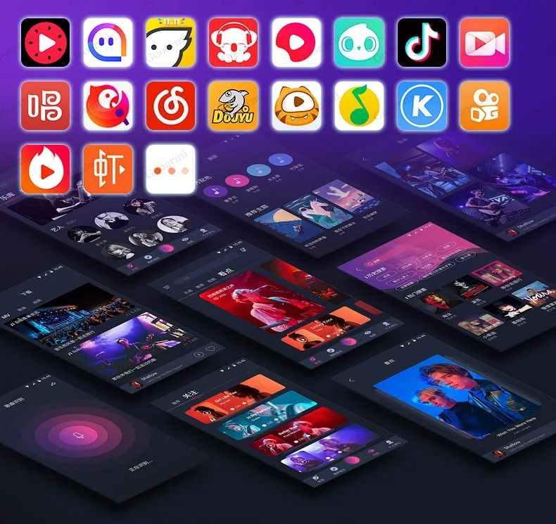 BM800 V8 Sound Card Studio Microphone Set | Professional Condenser Mic for Live Streaming, Podcasting, Karaoke, Gaming, Voice Recording & Home Studio Setup