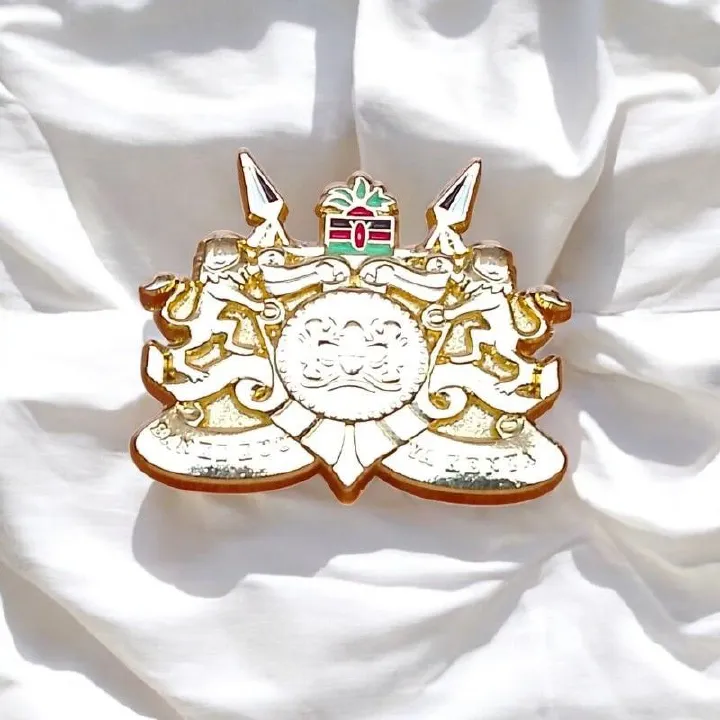 Central Bank of Kenya (CBK) Official Lapel Pin – Premium Gold-Plated Enamel Badge – Executive Banking & Finance Symbol