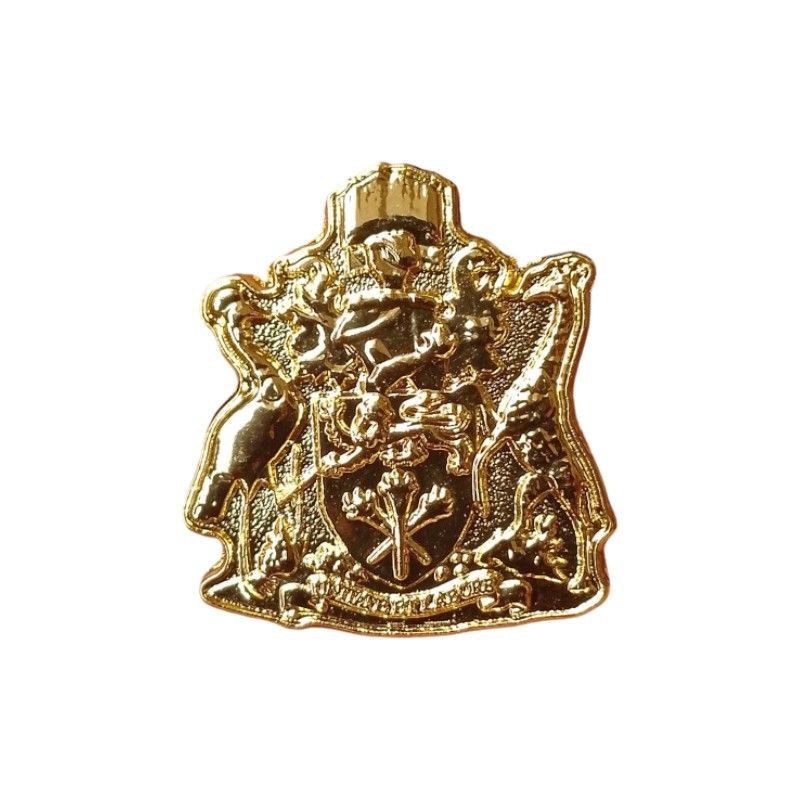 University of Nairobi (UoN) Crest Lapel Pin Badge – High-Quality Stamped Metal Pin with Gold-Tone Finish – Academic & Alumni Memorabilia, Graduation, and Institutional Pride Accessory