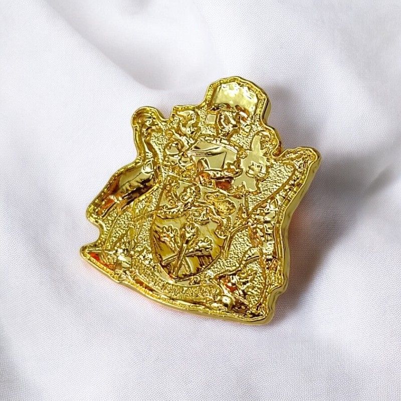 University of Nairobi (UoN) Crest Lapel Pin Badge – High-Quality Stamped Metal Pin with Gold-Tone Finish – Academic & Alumni Memorabilia, Graduation, and Institutional Pride Accessory