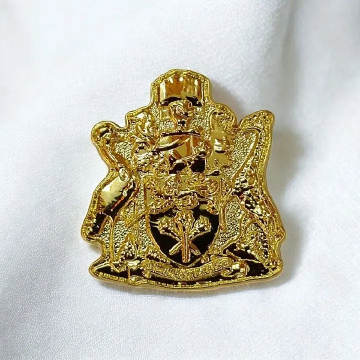 University of Nairobi (UoN) Crest Lapel Pin Badge – High-Quality Stamped Metal Pin with Gold-Tone Finish – Academic & Alumni Memorabilia, Graduation, and Institutional Pride Accessory