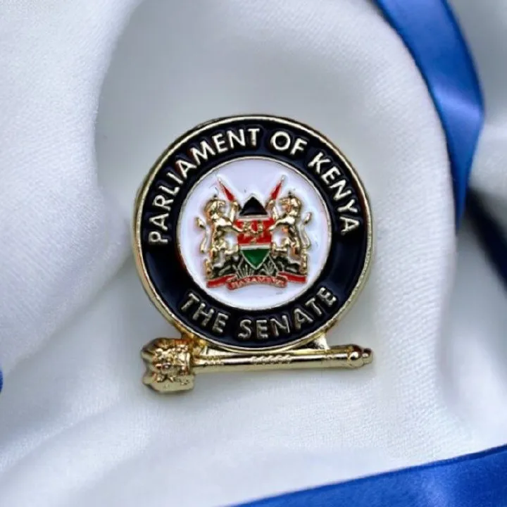Senate Lapel Pin Badge – Premium Enamel Badge with Coat of Arms & Gold-Plated – Official Accessory for Legislators, Leaders & Collectors
