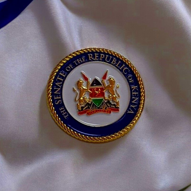 Senate Lapel Pin Badge – Premium Enamel Badge with Coat of Arms & Gold-Plated – Official Accessory for Legislators, Leaders & Collectors