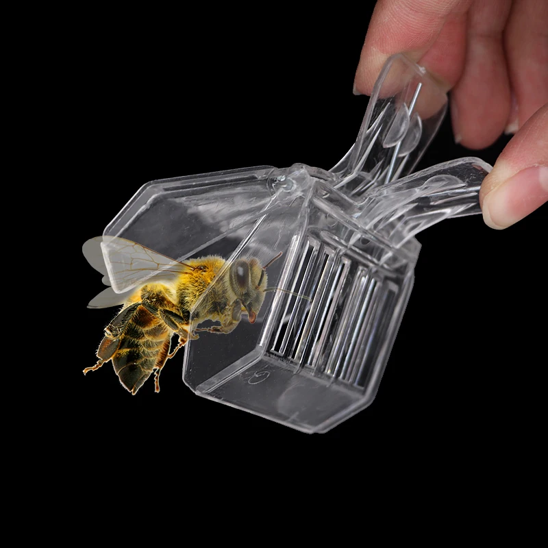 2PCS Queen Bee Clip Queen Bee Queen Bee Cage Catcher Queen Clips for Bees Quee Bee/Beekeeping Transparent Plastic