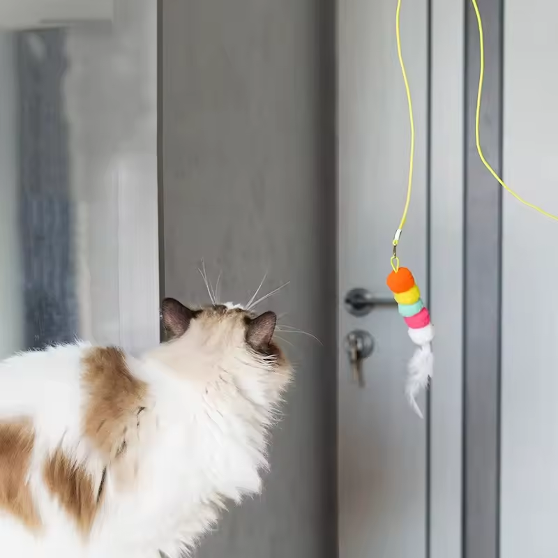 2pcs Pet Cat Toys Funny Stick Kitten Self -hi Elastic Rope Dragonfly Shape Feather Bell Teasing Stick Hanging Swing Thousands Interactive Cat Toy  Feather Bell
﻿