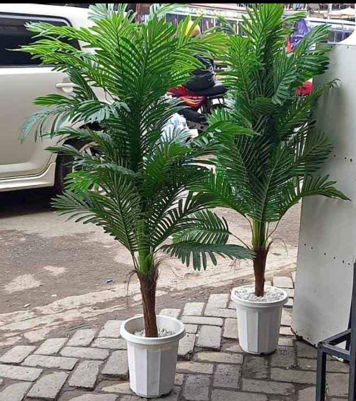 ARTIFICIAL /FAUX GREEN PALM TREE HOME DECOR TREE( 120CM/150CM /180CM) HOME/OFFICE/BEDROOM/HALLWAY DECOR(comes with white pebbles, sawdust and a white pot)