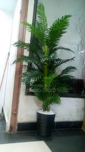 ARTIFICIAL /FAUX GREEN PALM TREE HOME DECOR TREE( 120CM/150CM /180CM) HOME/OFFICE/BEDROOM/HALLWAY DECOR(comes with white pebbles, sawdust and a white pot)