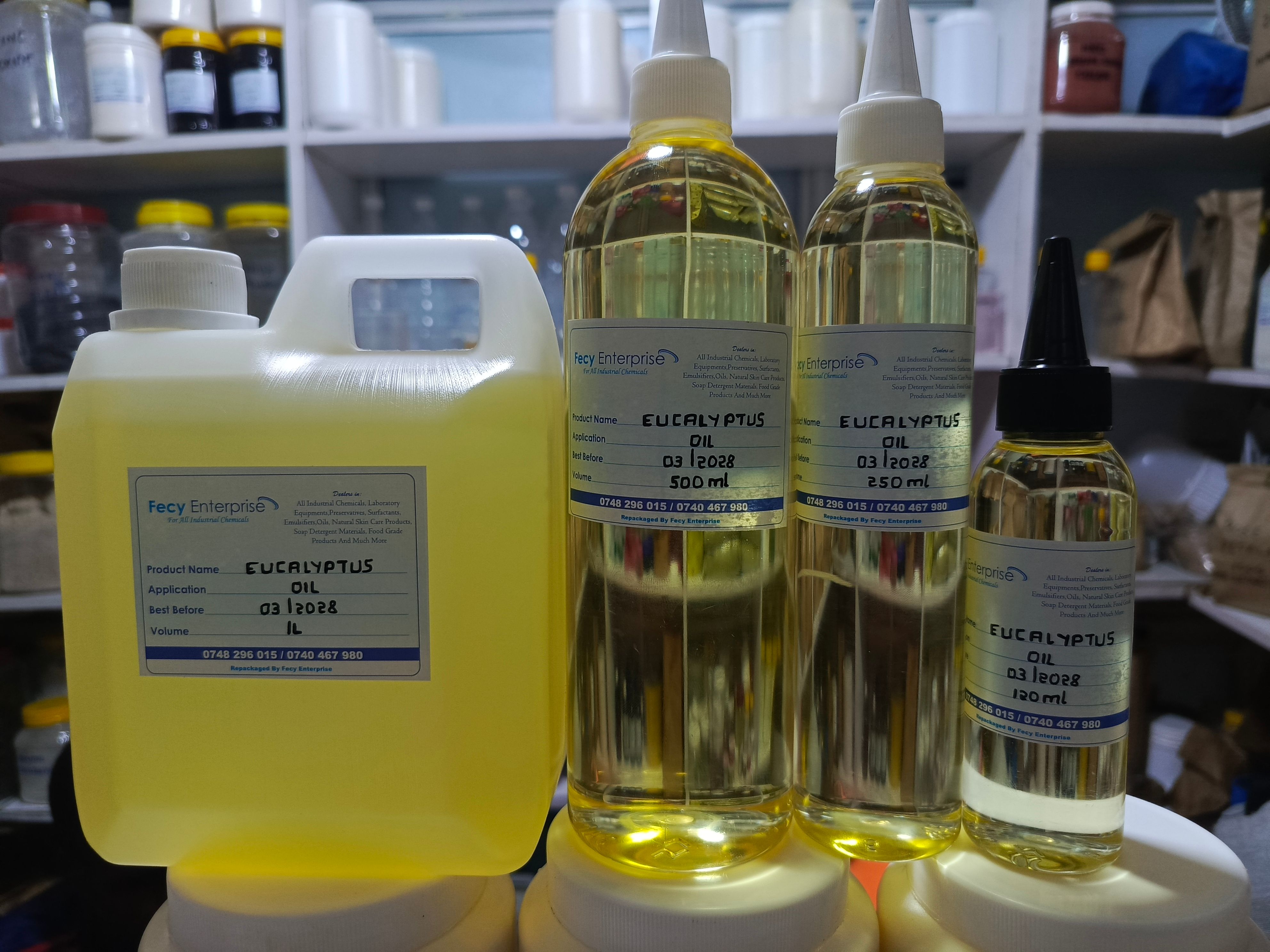 Eucalyptus Oil (Pure)