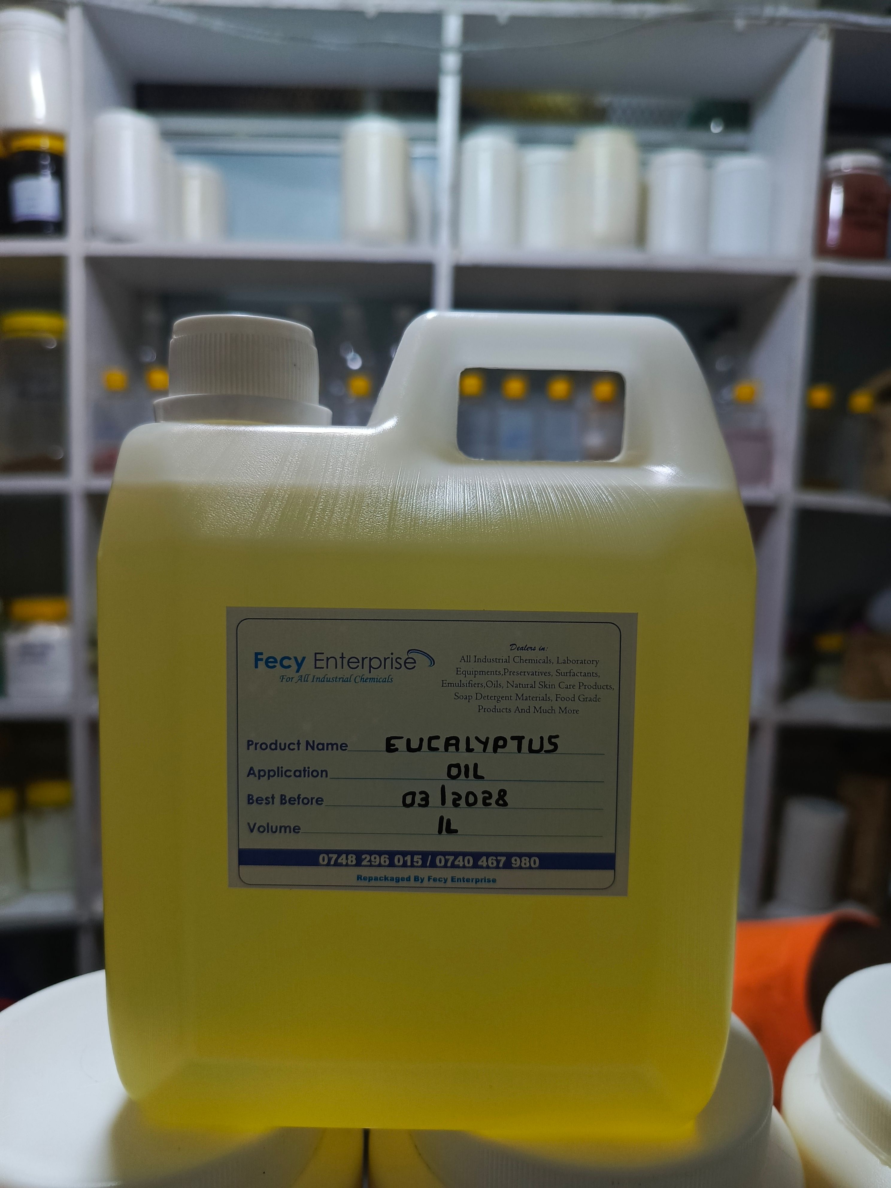 Eucalyptus Oil (Pure)