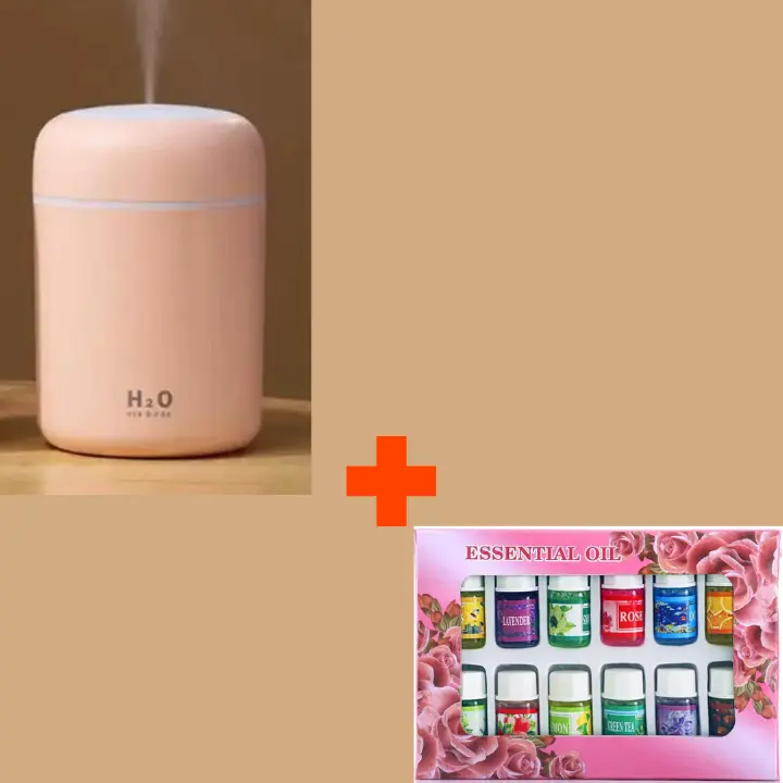 USB Nordic Humidifier Aromatherapy Humidifier With LED Light Air Freshener Aromatherapy Diffuser + 12pcs Essential Oils Set