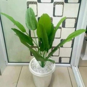 Artificial Monstera Flower, Decor Stones Plus A Vase