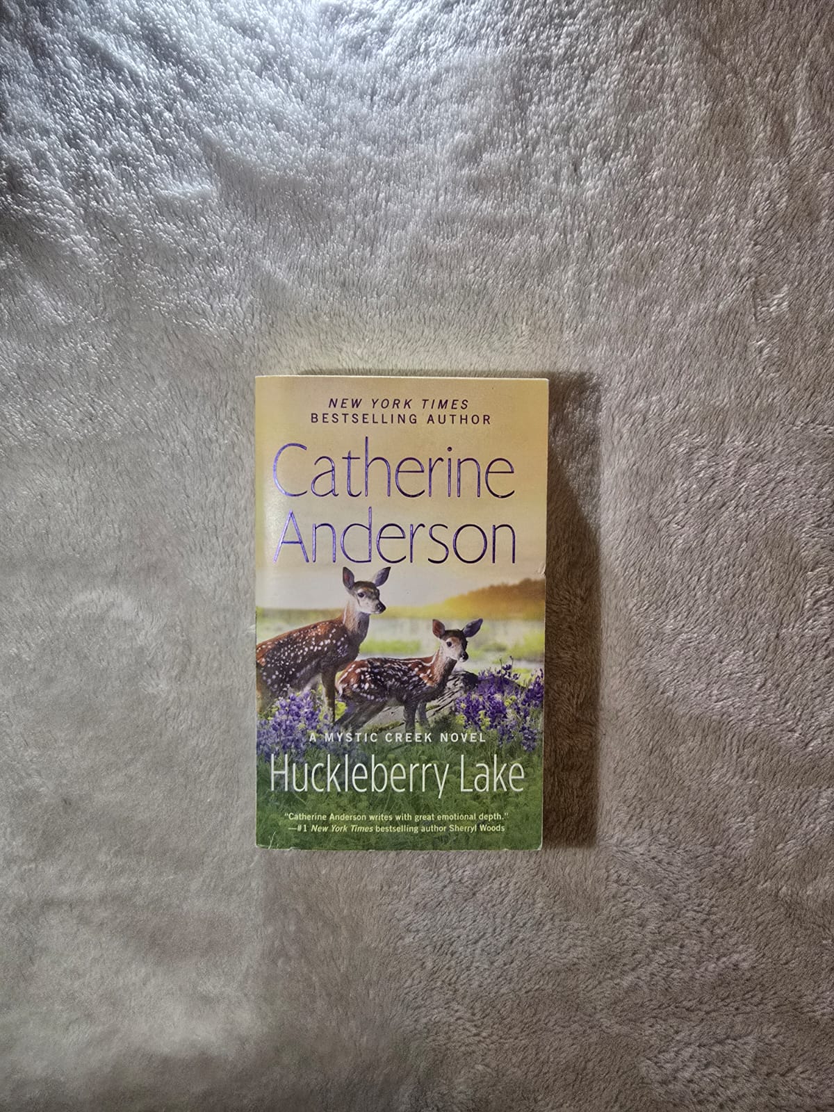 Huckleberry Lake by Catherine Anderson | Preowned Pocket Novel