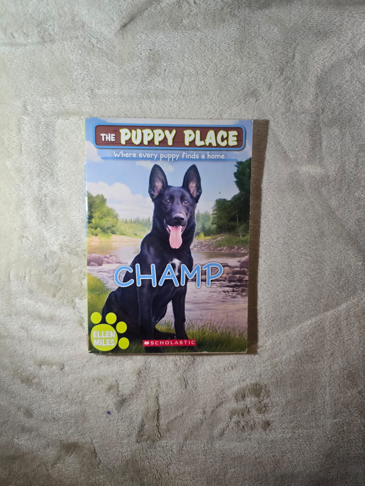 Children’s Adventure Collection – Preowned Books Featuring Holly Webb, Pokémon Sun & Moon, Bailey School Kids, Louis Sachar, David A. Kelly, Ellen Miles, Mary Pope Osborne