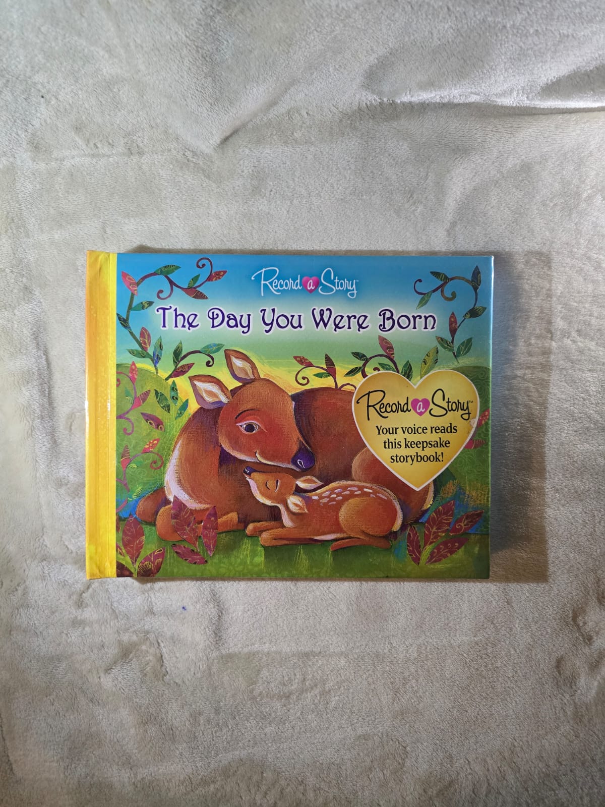 The Day You Were Born – Preowned Recordable Storybook by Publications International