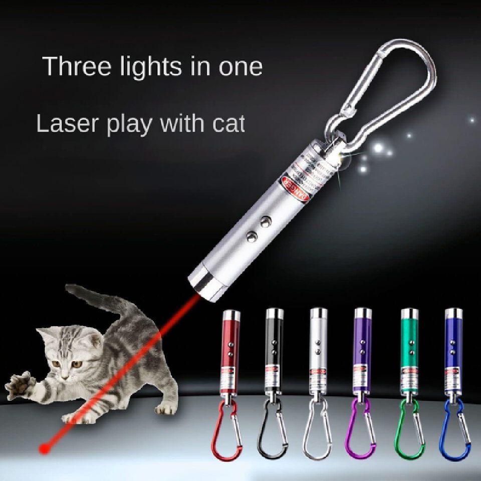 Cat Toys Laser Pointer Mini Keychain Laser Pointer LED Flashlight Dog Cat laser toy Pet Remote Control Laser Money Detector Key Chain