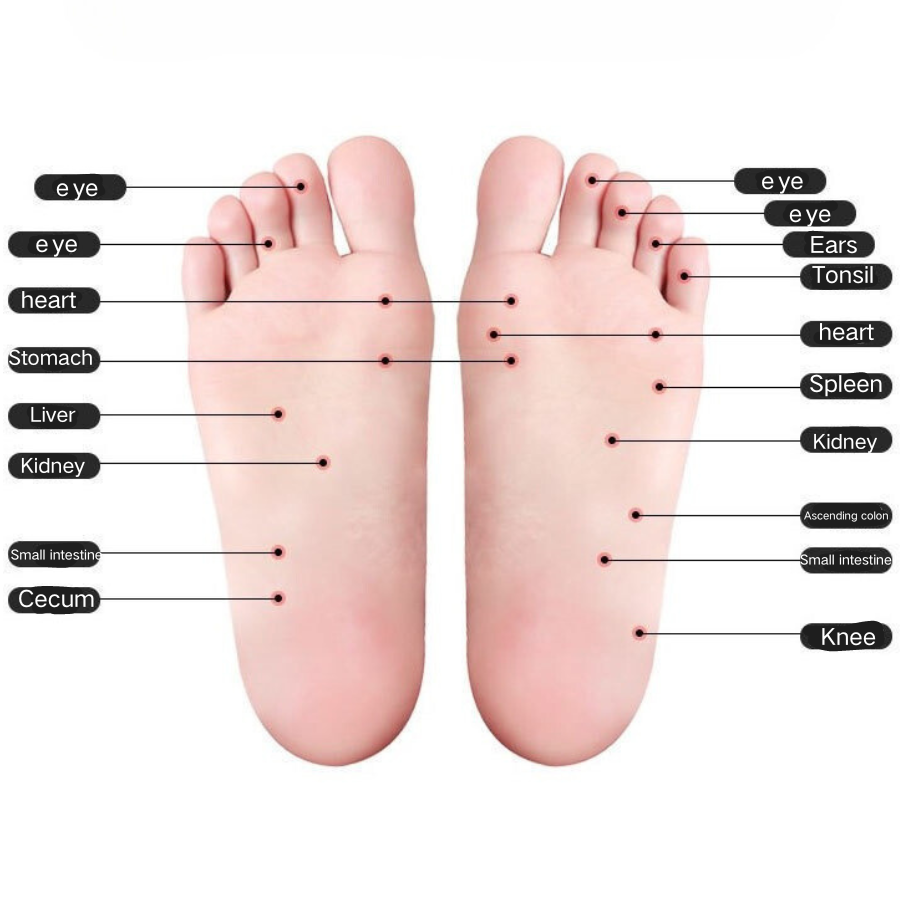 Foot Massager Roller for Plantar Fasciitis Relief, Foot Reflexology Tool Deep Tissue Muscle Targeted Massage to Arches, Heels and Soles Pain Relief, Perfect Gifts for Women Men Mom and Dad
﻿