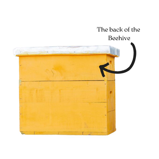 Langstroth Beehives, Akili Foods Langstroth Beehives