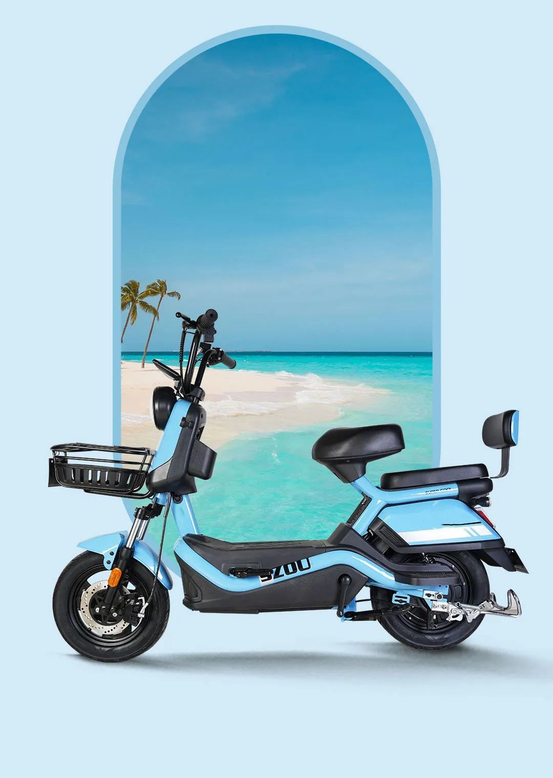 ZEBRA ELECTRIC BIKE