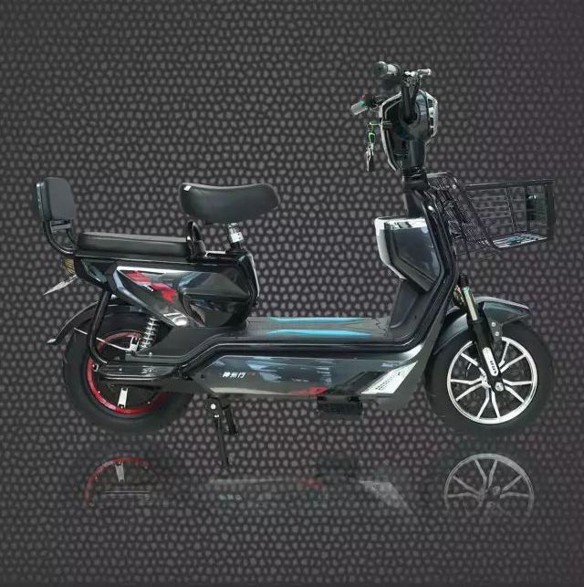 Zebra Electric Bike Battery type 60V20, 50-65km endurance distance, Zero maintenance cost.