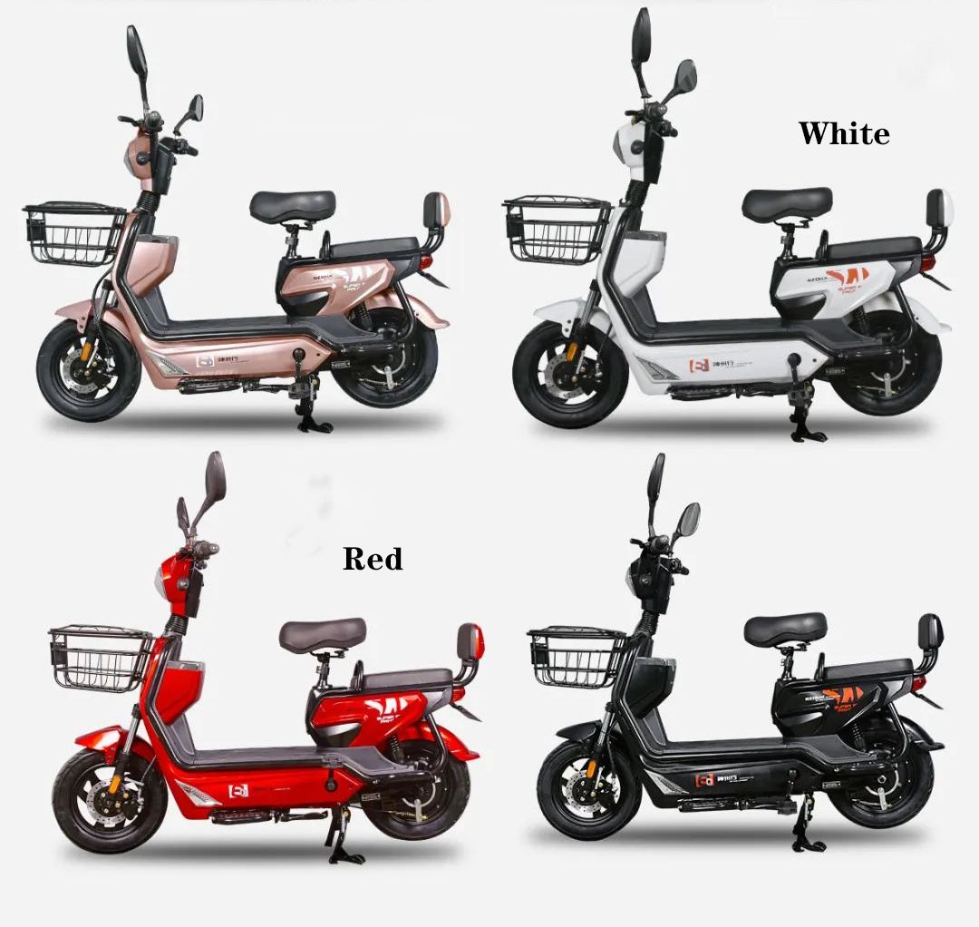 Zebra Electric Bike Battery type 60V20, 50-65km endurance distance, Zero maintenance cost.
