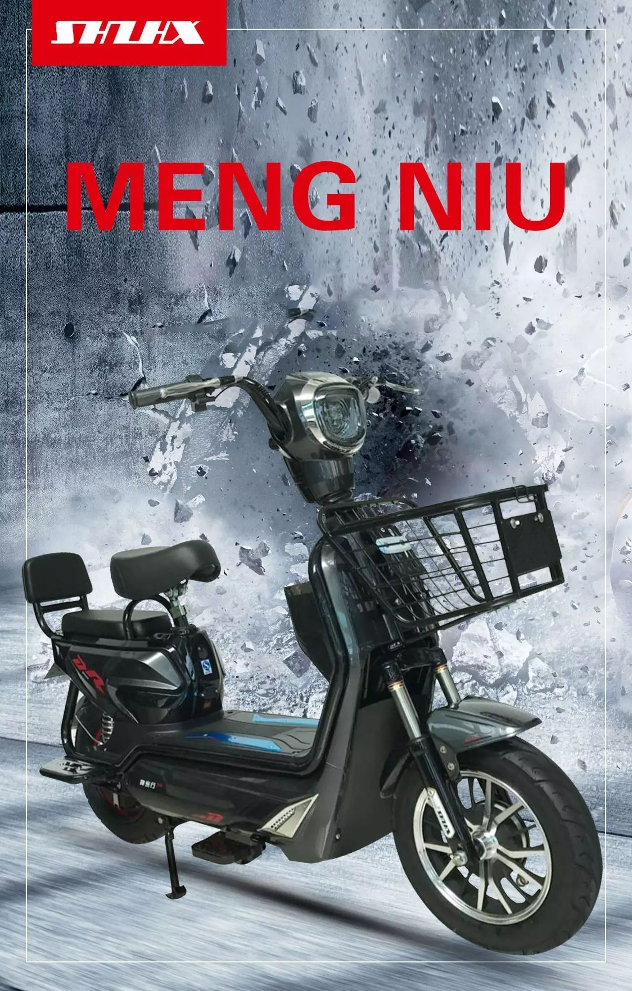 Zebra Electric Bike Battery type 60V20, 50-65km endurance distance, Zero maintenance cost.