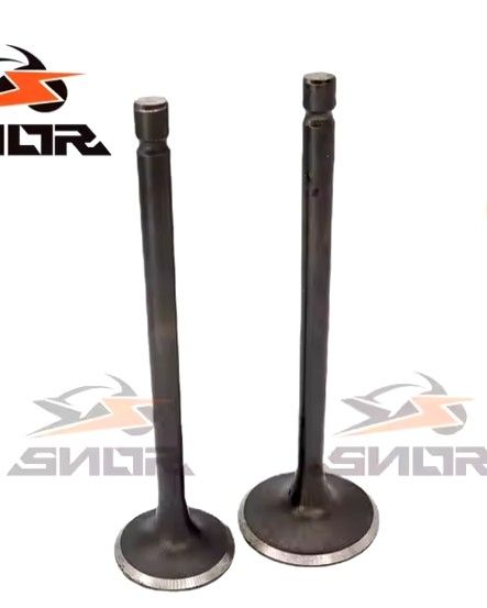 Motorcycle c engine cylinder head valves for Boxer150 BM motorbike