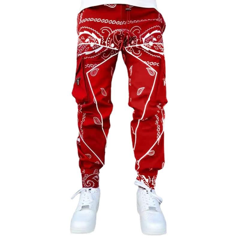 Custom Printed Wholesale Streetwear Baggy Multi Pockets Distressed Cargo Pants for Men  Casual