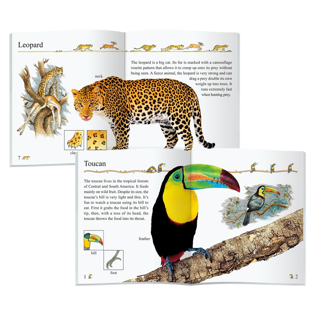 Set Of 10, English Books In My Encyclopedia Series, Gift For Kids - Children's Educational Assistance Book - Published By Sunshine Children's Educational Association