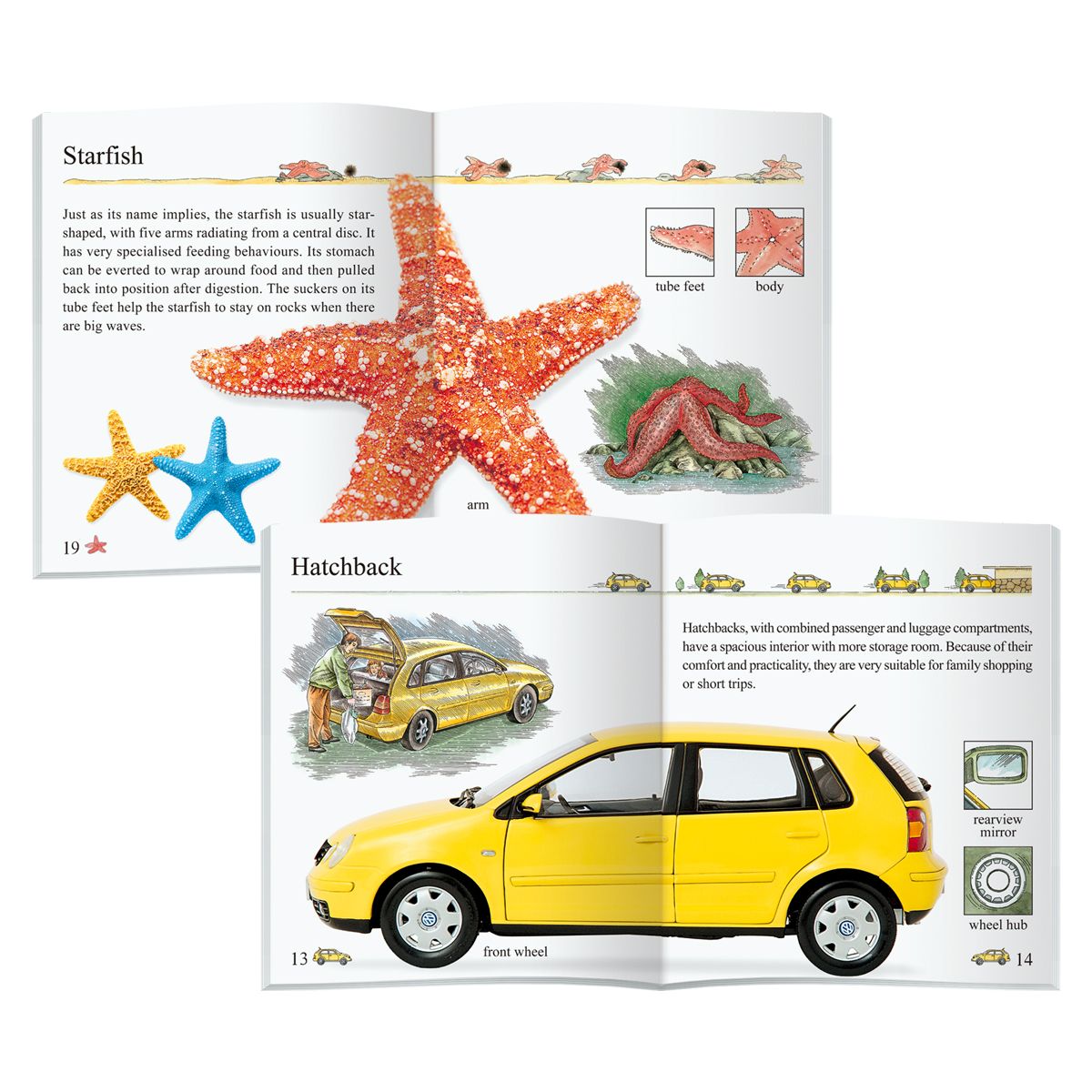 Set Of 10, English Books In My Encyclopedia Series, Gift For Kids - Children's Educational Assistance Book - Published By Sunshine Children's Educational Association