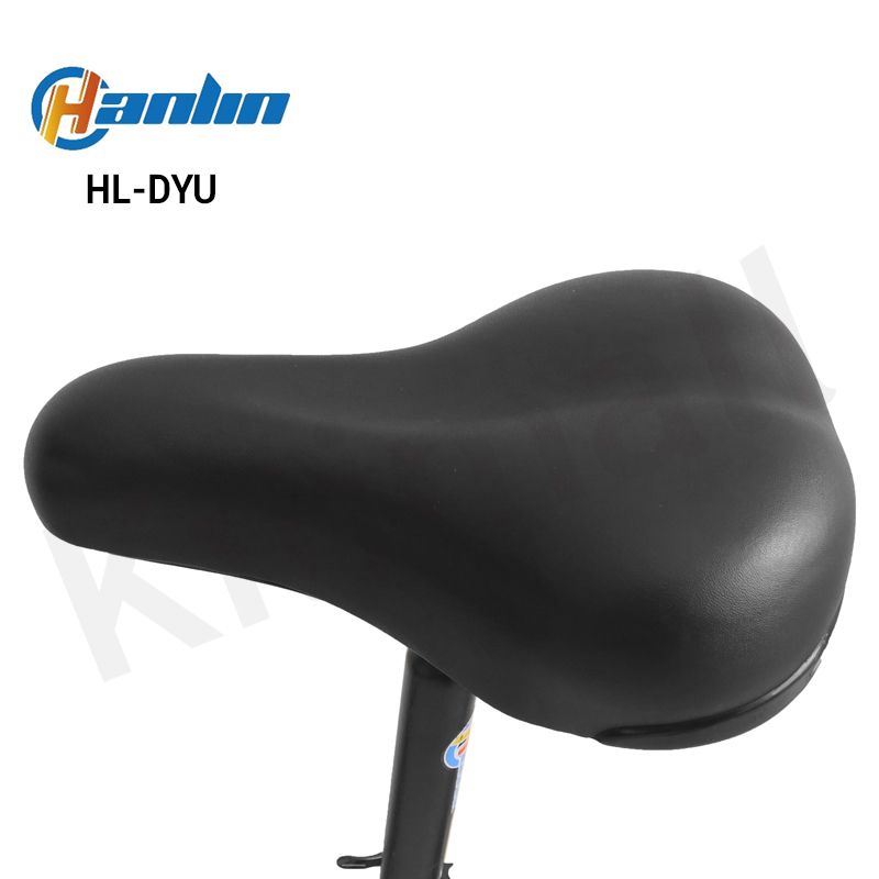 Hanlin - DYU Mini Foldable Electric Bike, Electric bike, Electric Mini Bicycle. E-bike, Max Speed - 30km/h, Range - 30km, Motor - 250W, Battery 36V 8AH, Children E-bikes, with pedal assist.