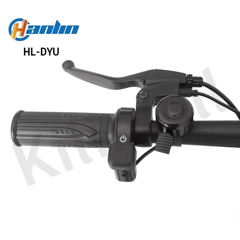 Hanlin - DYU Mini Foldable Electric Bike, Electric bike, Electric Mini Bicycle. E-bike, Max Speed - 30km/h, Range - 30km, Motor - 250W, Battery 36V 8AH, Children E-bikes, with pedal assist.
