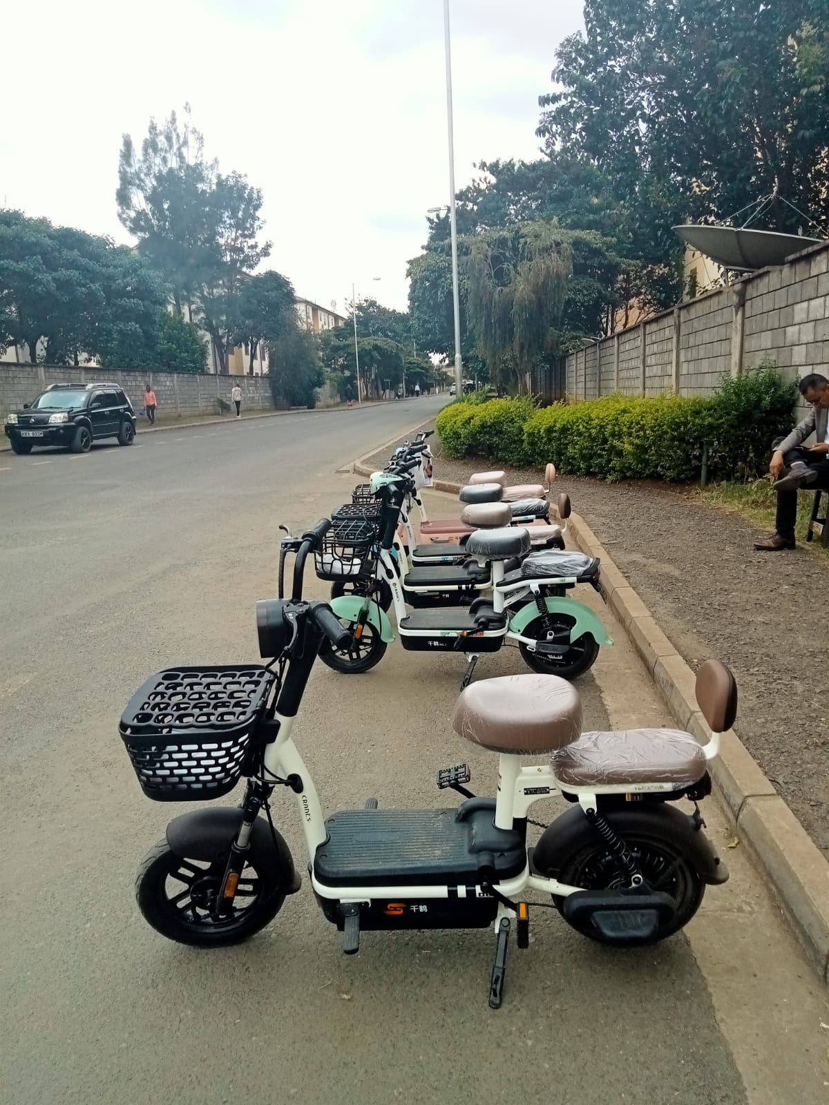 Crane Electric Scooter: 350W Motor, 48V/20AH Battery, 14 x 2.5 Tubeless Tires, Front & Rear Aluminum Hub Brakes, Six Tube Controller, Thickened Rear Shock Absorption, High-Elasticity Saddle, Bright .