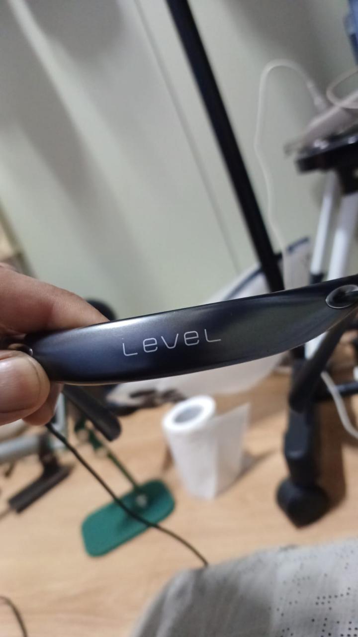 Samsung Galaxy level U neckband