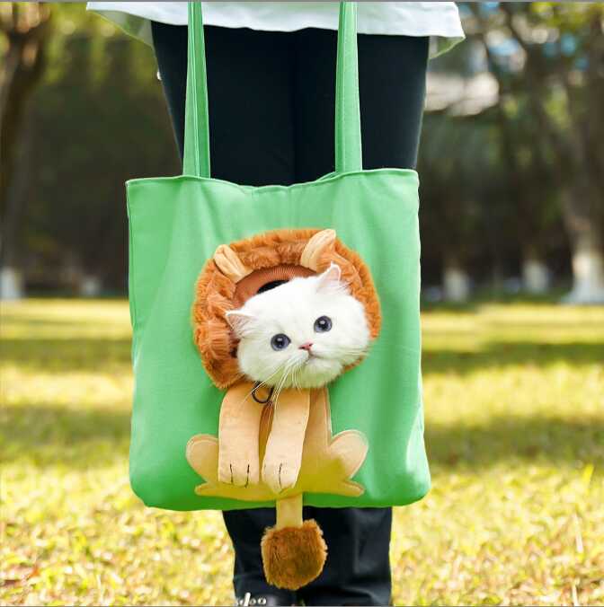 Fashionable Pet Outdoor Bag Cute Pet Carrier Bag with Lovely Patterns Practical Cat Dog Travel Pockets for Small Animals Outing
