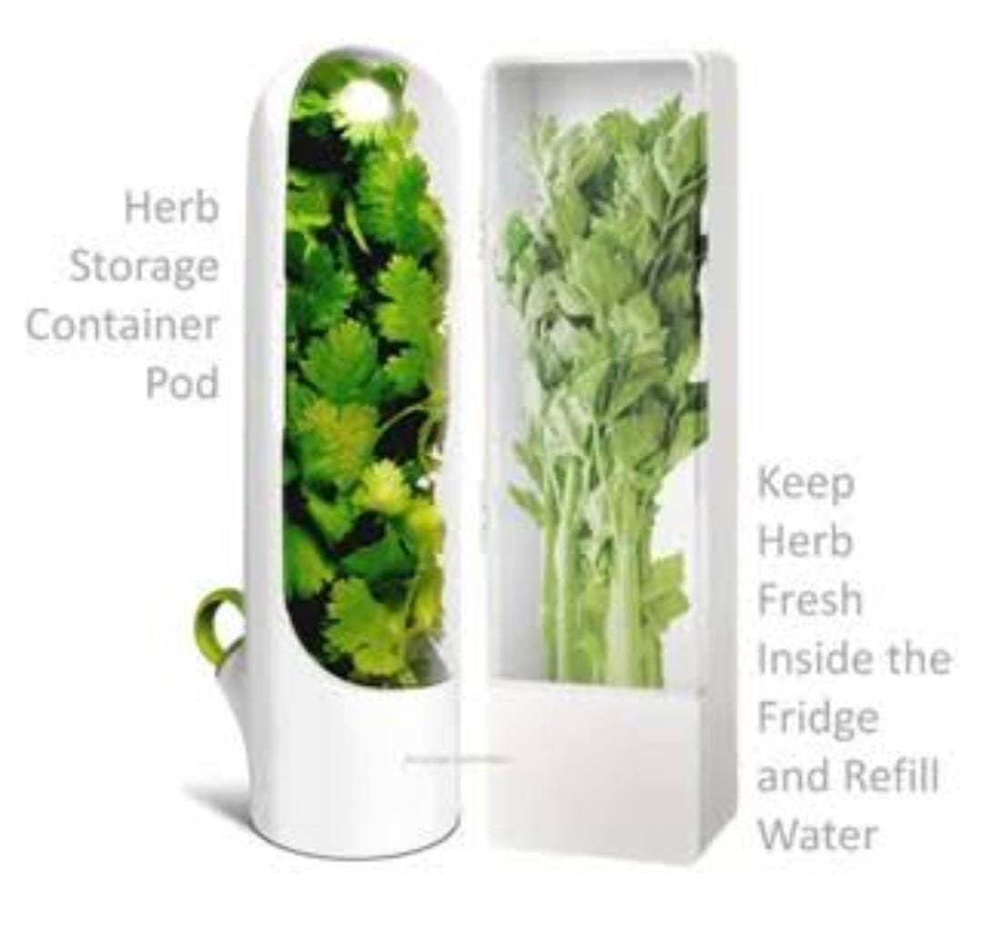 HERB SAVER BEST KEEPER VEGETABLE FRESH CORIANDER, MINT ASPARAGUS CONTAINERS FOR FRIDGE STORAGE BOTTLE HERB PROTECTOR